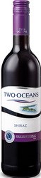 2009 Two Oceans Shiraz 2013